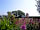 Parkland Caravan and Camping Site: Well-kept gardens (photo added by manager on 26/06/2019)