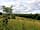 Butcombe New Woods: Almost all of the trees planted in 2015 are native broad-leaves