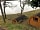 Loch Awe Camping Pods: View from pod 1 (photo added by manager on 24/03/2021)