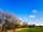 Pitch on the Wall Campsite: One of the pitches, sheltered by trees