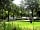 Camping La Nizière: Pitches under the trees