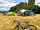 Caversham Lakes: BikeCamp in Caversham Lakes (photo added by  on 04/07/2022)