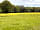 Woodlands Camping: The meadow