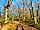 Panpwnton Farm: Walks in the woods (photo added by manager on 22/03/2023)