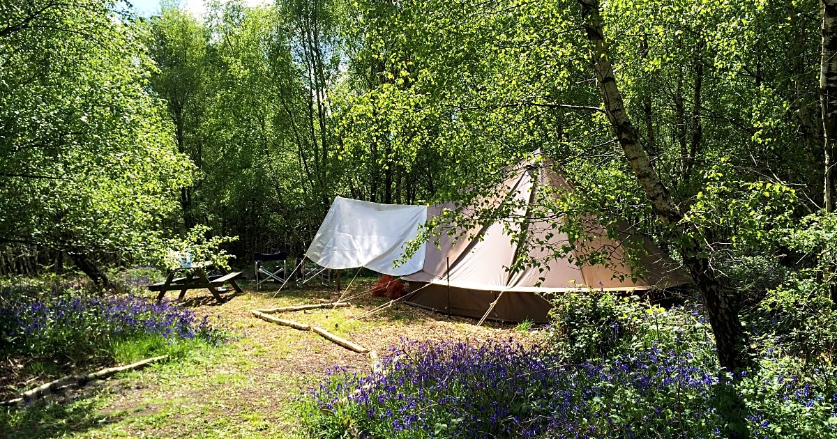 Beech Estate Campsite, Battle Pitchup®