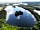 Caversham Lakes: Freshwater lake (photo added by manager on 12/05/2022)