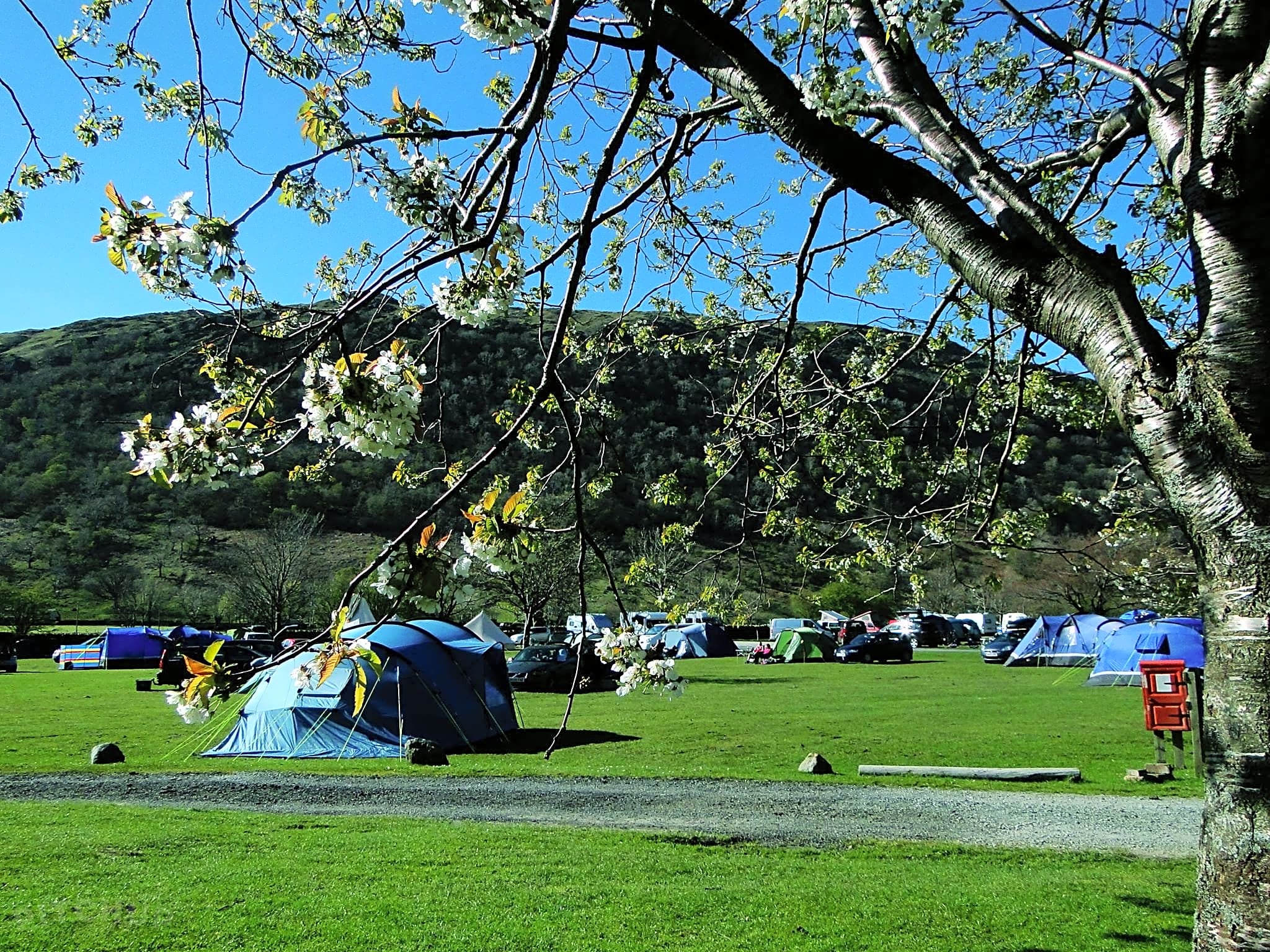 Sykeside Camping Park, Penrith Updated 2021 prices Pitchup®