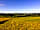 Broadleigh Farm Park: Took dog for a walk over nearby field. The site is in the middle of picture