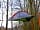 Wardley Hill Campsite: Tentsile Connect tree tent in the winter with no fly sheet