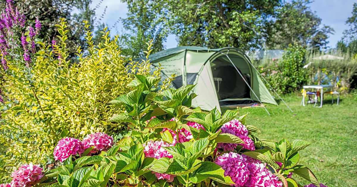 Camping de la Torche, Plomeur Prezzi 2024 aggiornati