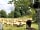 Moulin de Chaules: Sheep and donkey in a nearby field (photo added by manager on 05/01/2015)