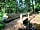 Wardley Hill Campsite: If you go down to the woods today