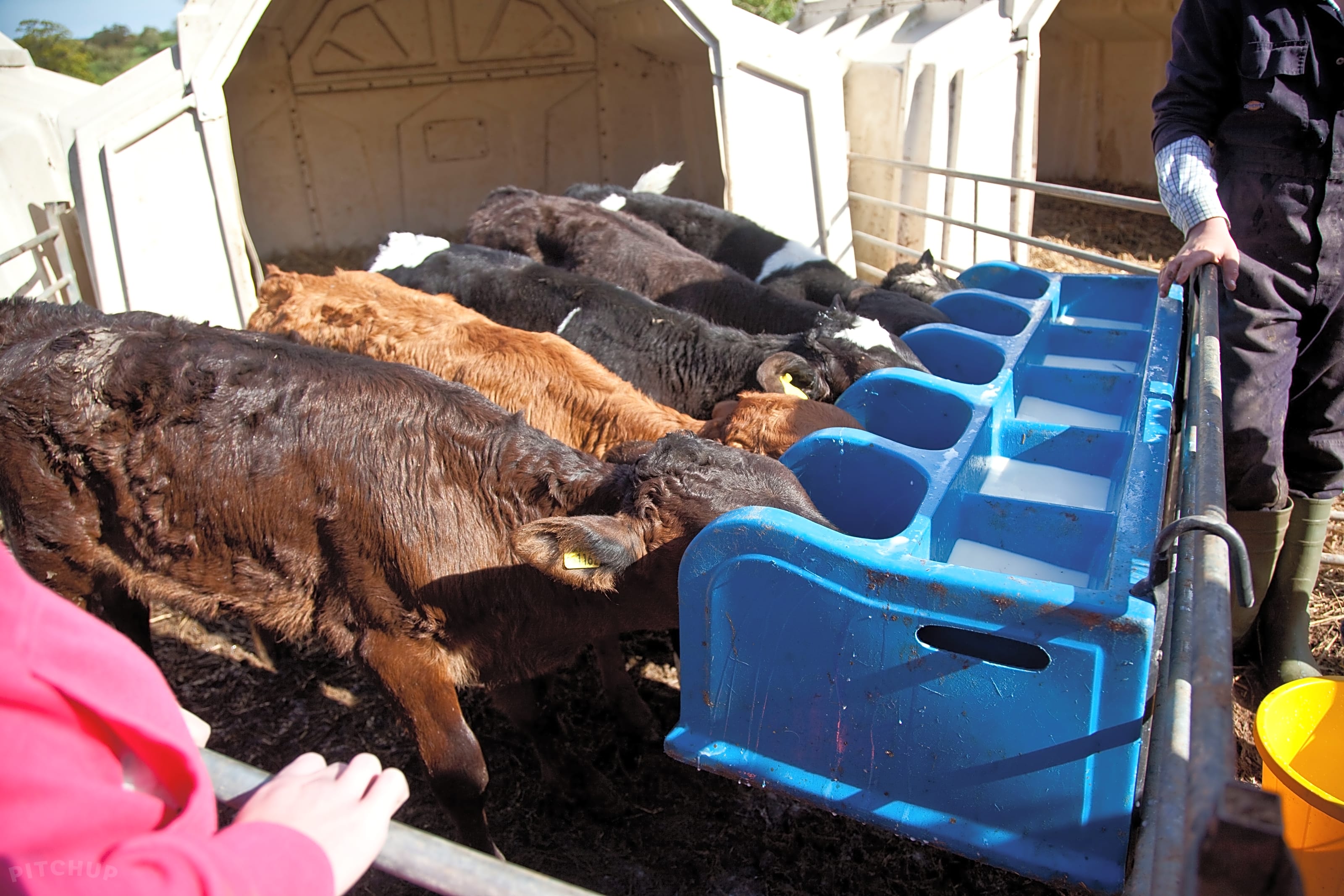 Billingsmoor Farm, Cullompton, Devon Updated 2025 prices