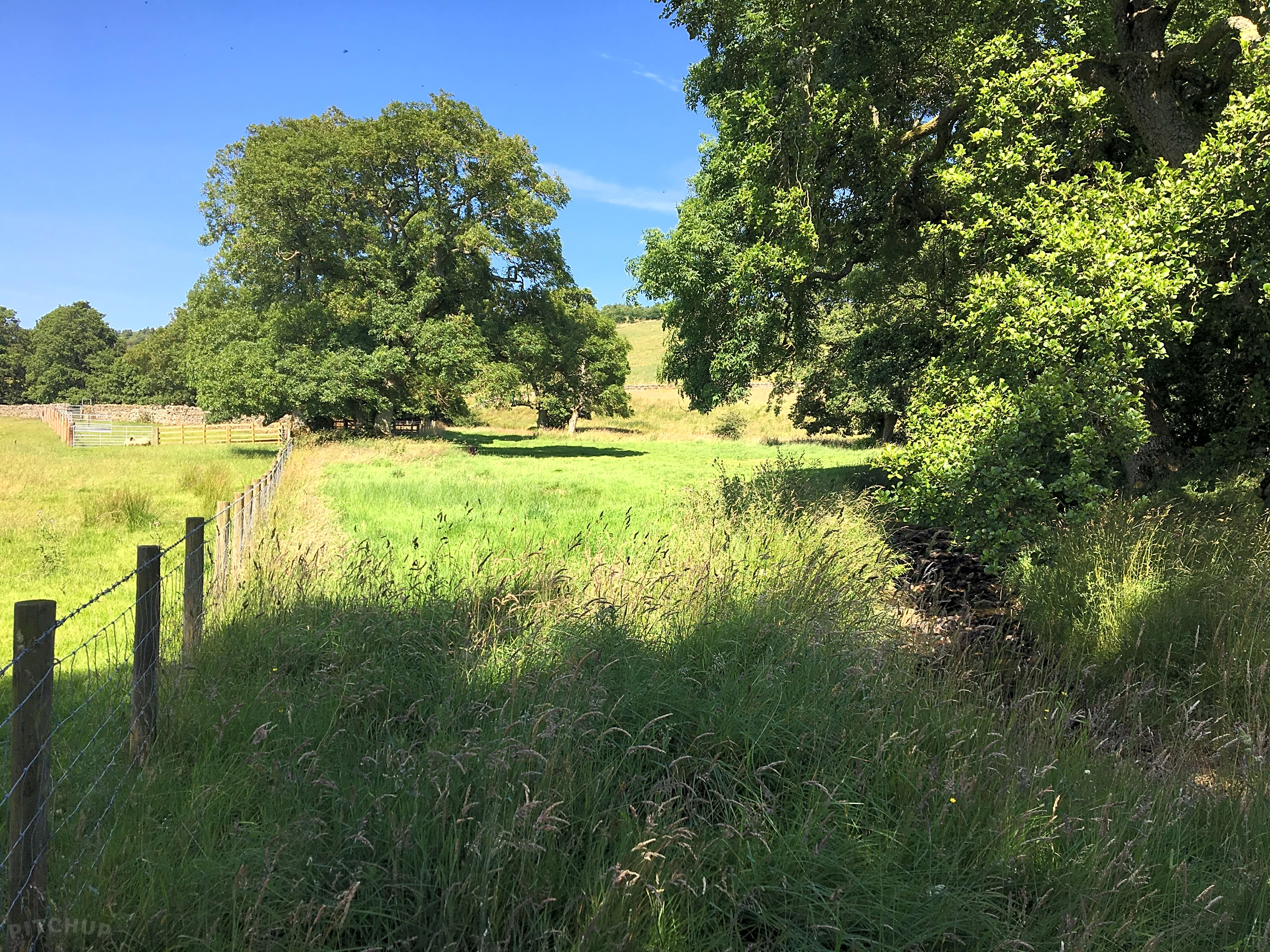 The Boe Rigg, Hexham, Northumberland - Updated 2026 prices | Pitchup.com