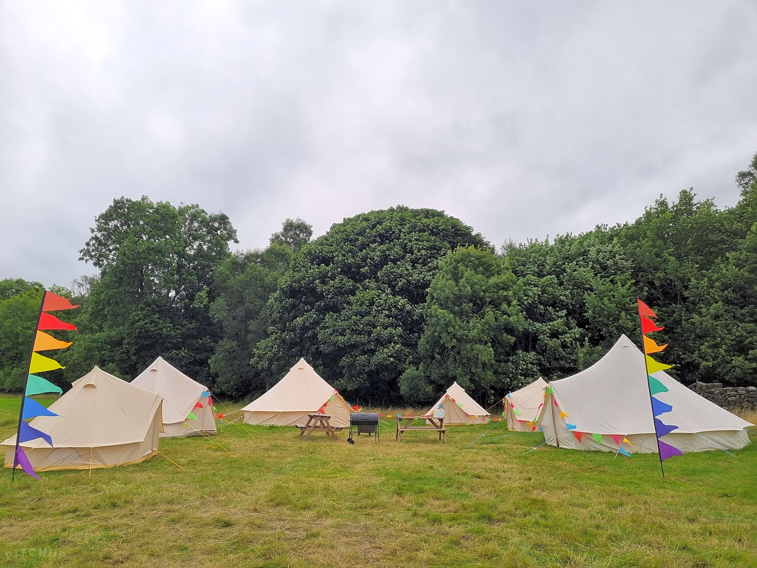 Baylily bell tents online