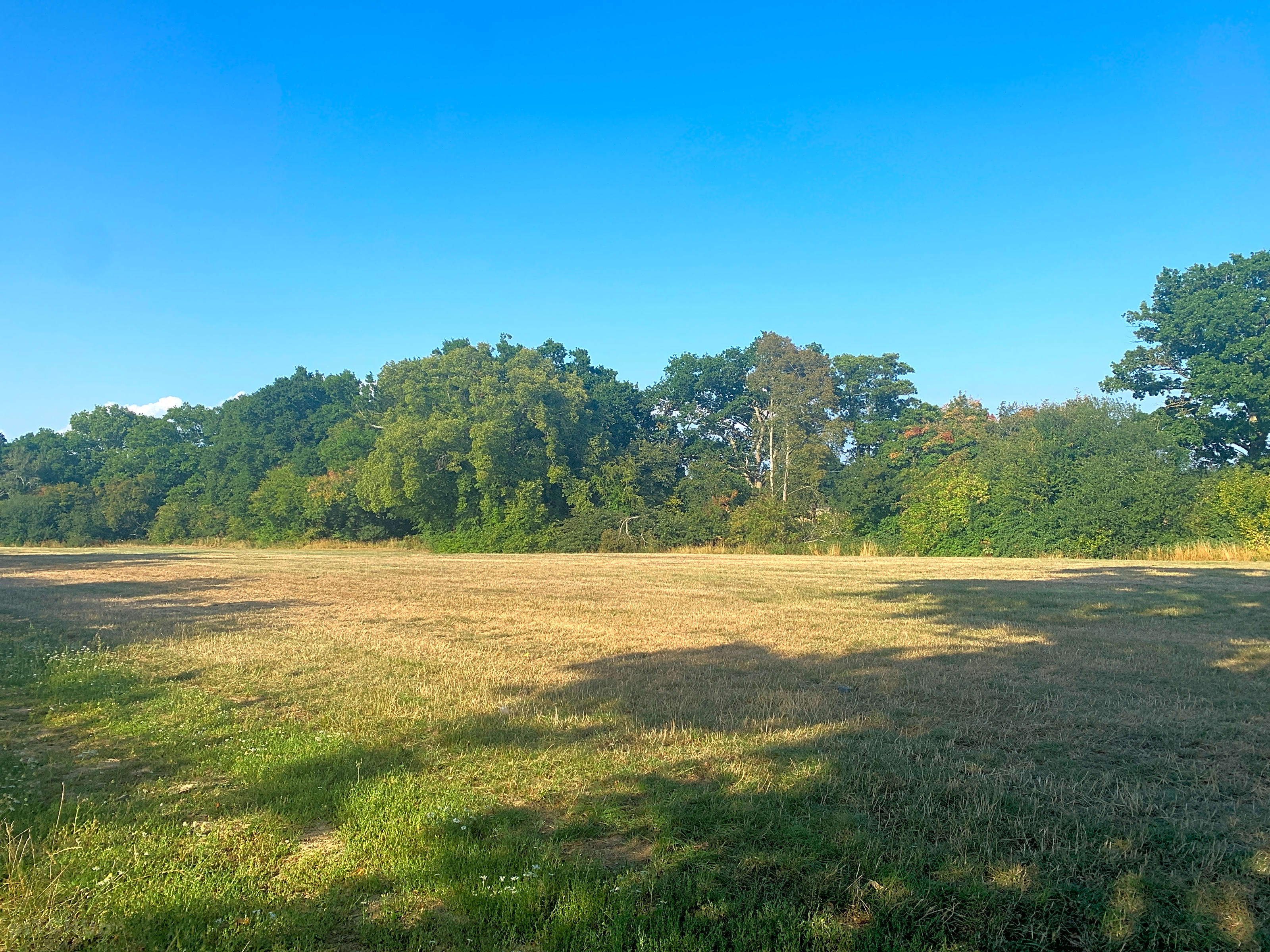 Maplehurst Farm, Maplehurst, West Sussex