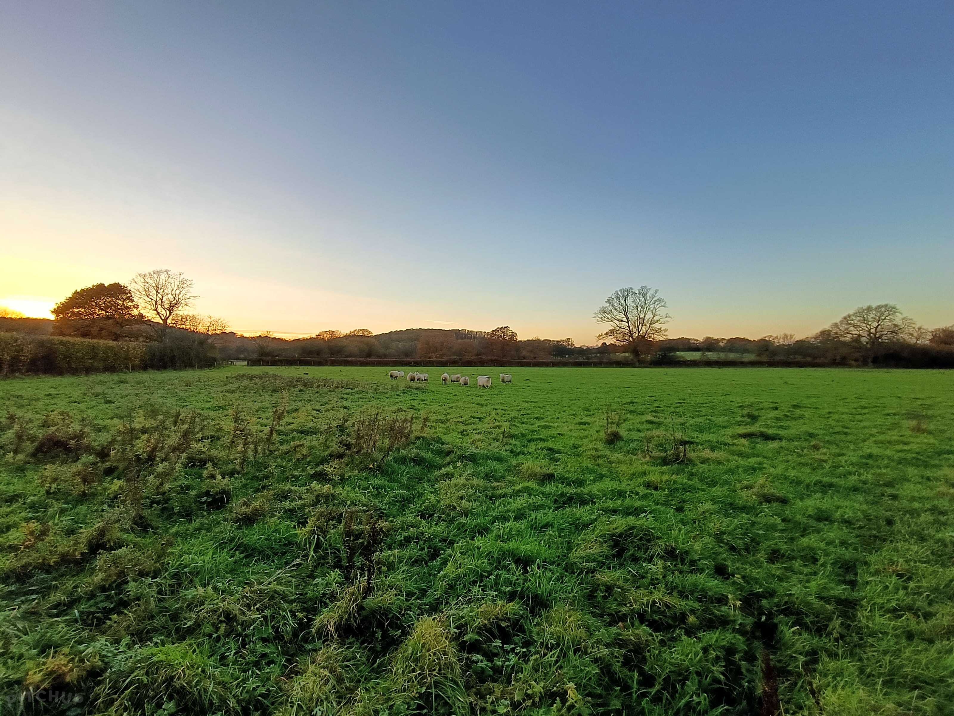 Lower Marsh Farm Campsite, Shaftesbury, Dorset Updated 2025 prices