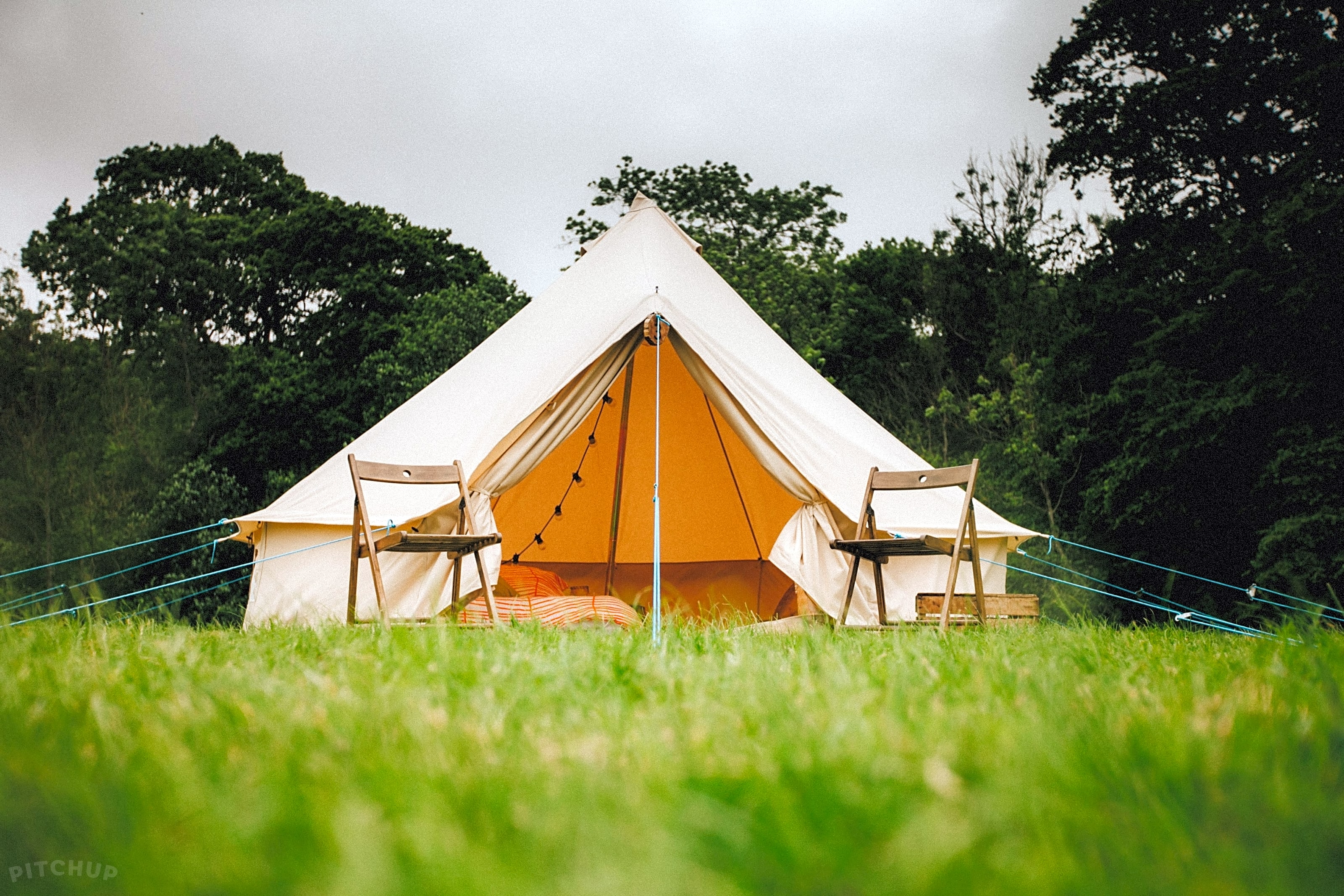 Pitch up glamping online