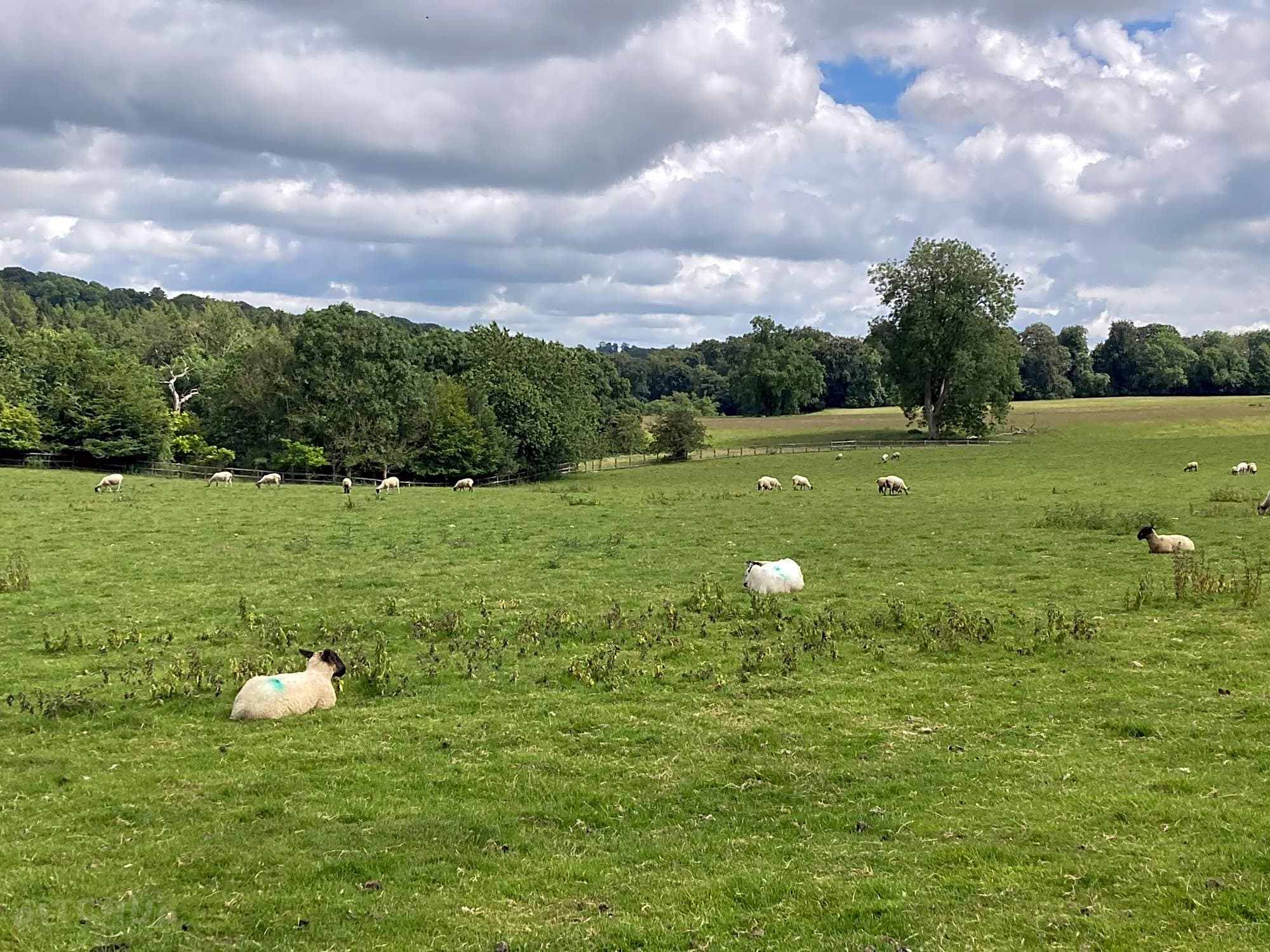 Cricket Field Campsite, Cheltenham, Gloucestershire