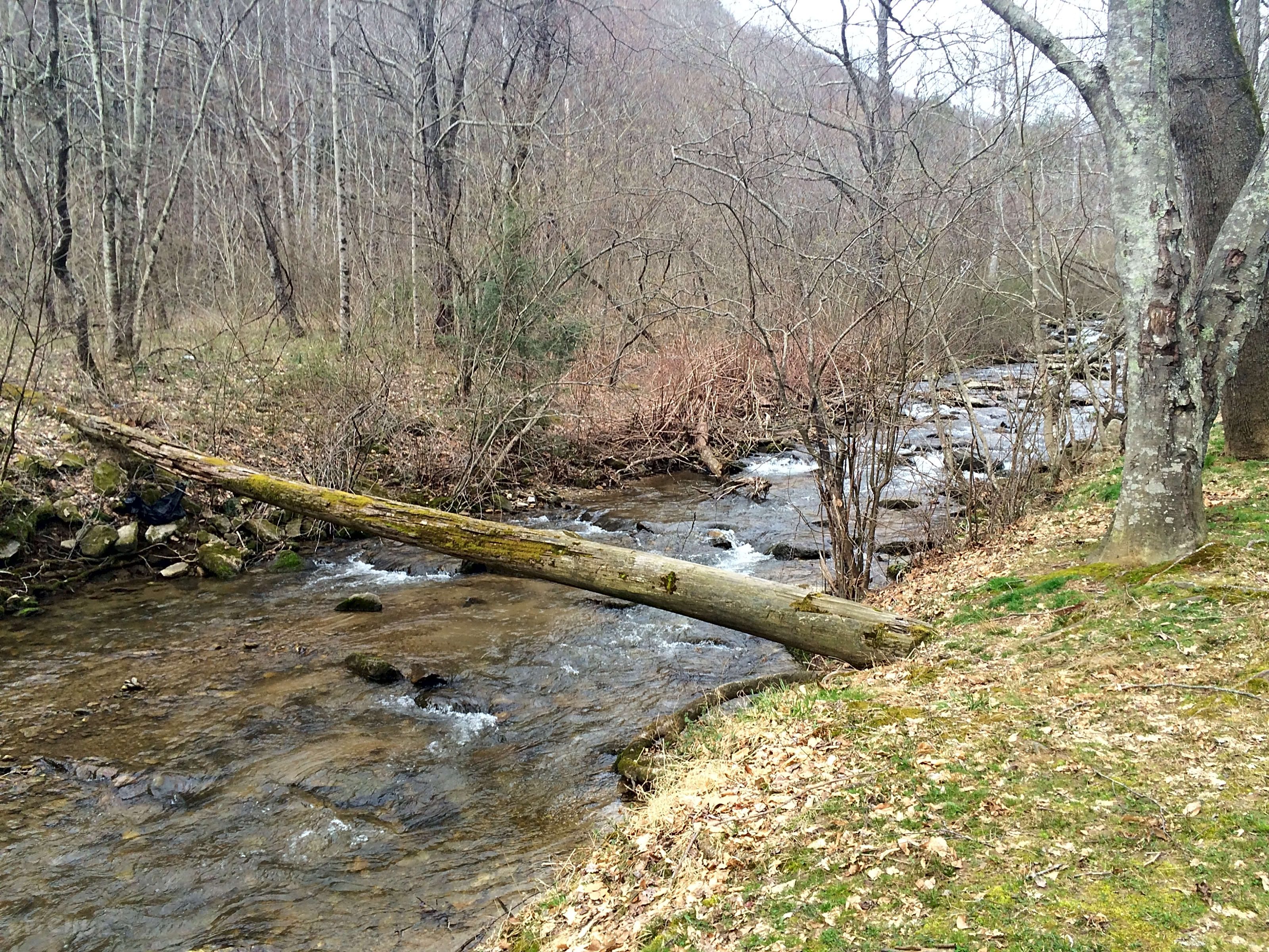 Escape to Serenity: Unplug and Unwind at North Carolina's Creekside Mountain Camping