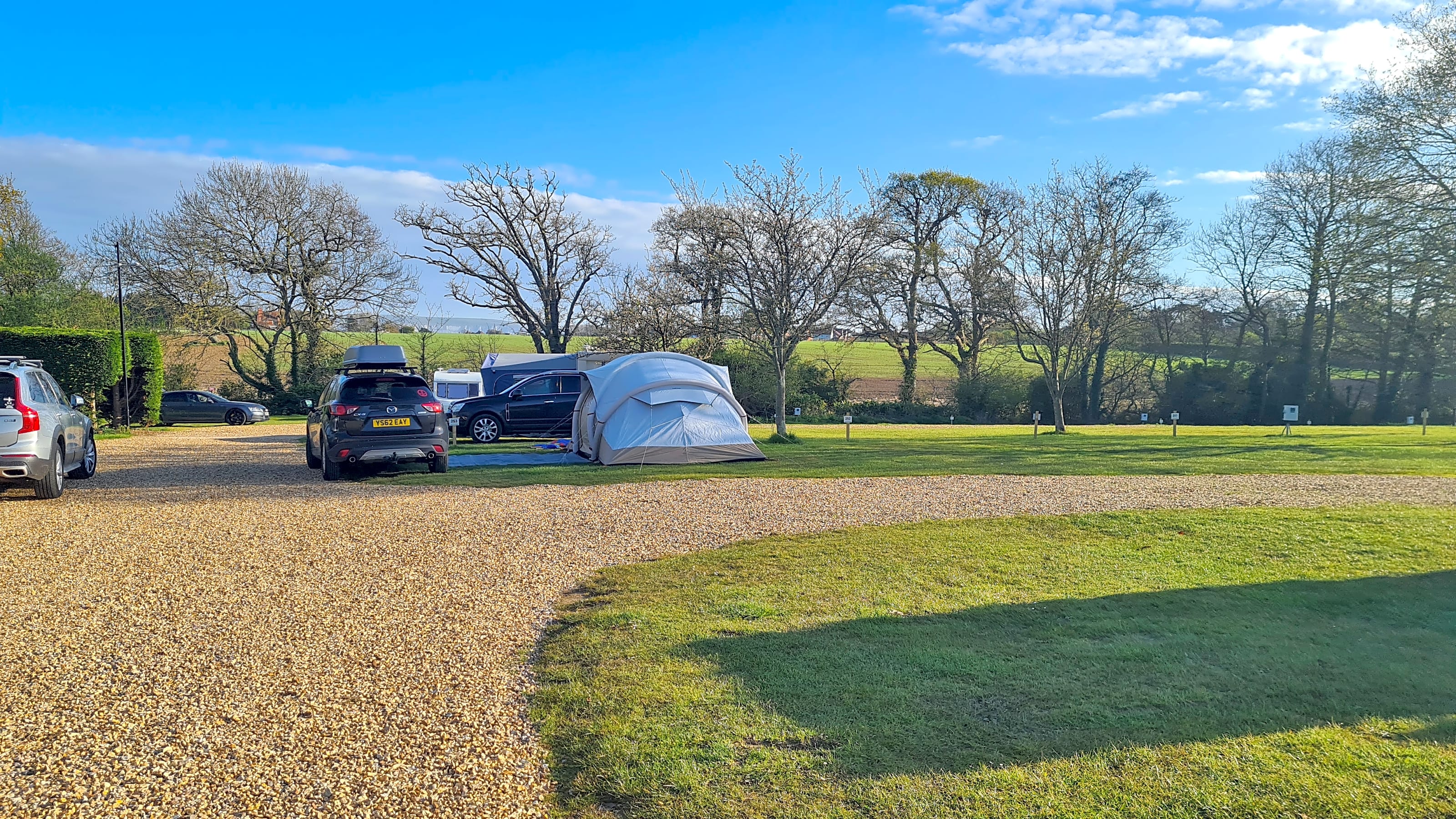 se permiten perros en el parque de la isla de duke