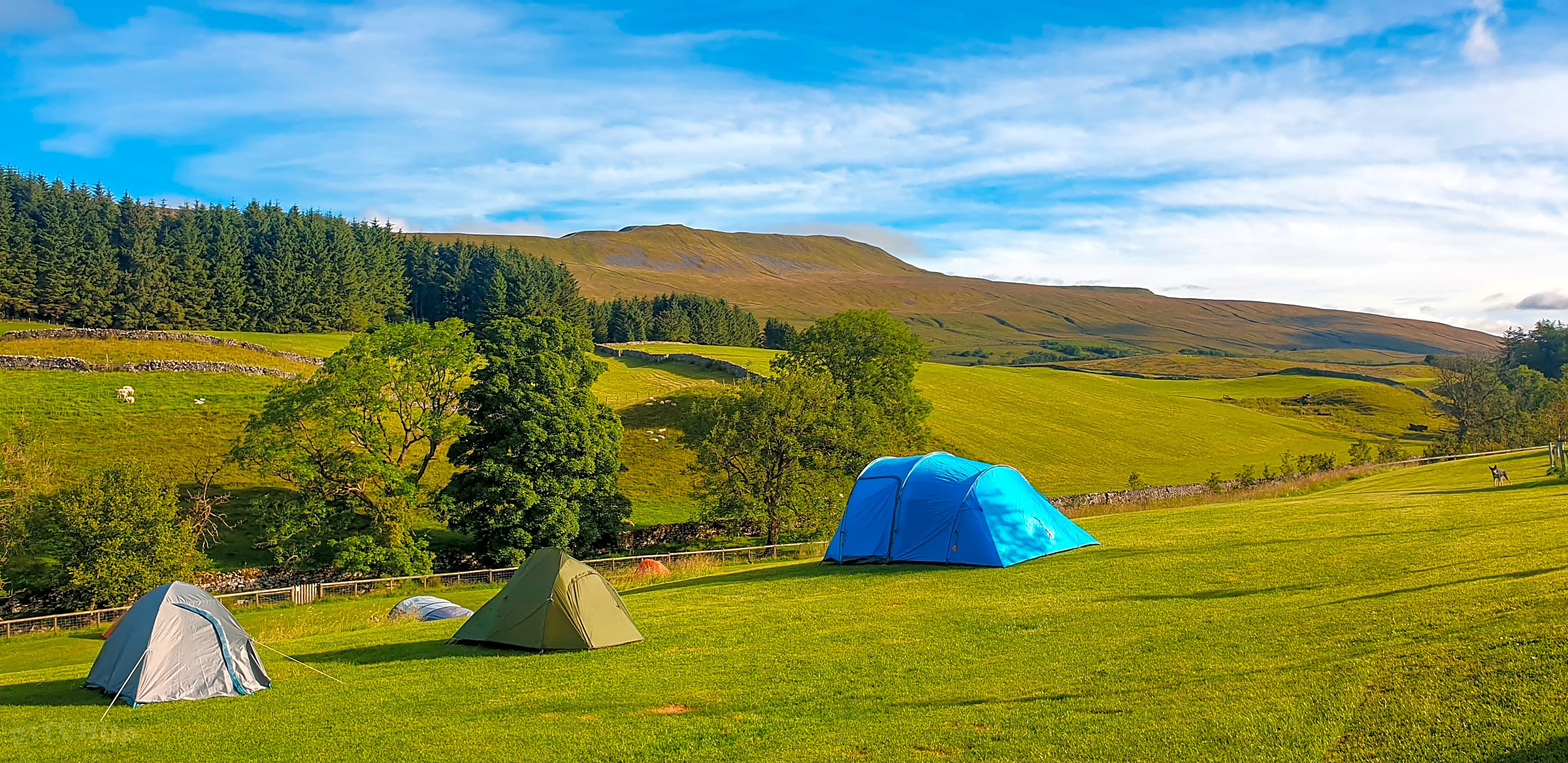 Cheap campsites yorkshire 2025