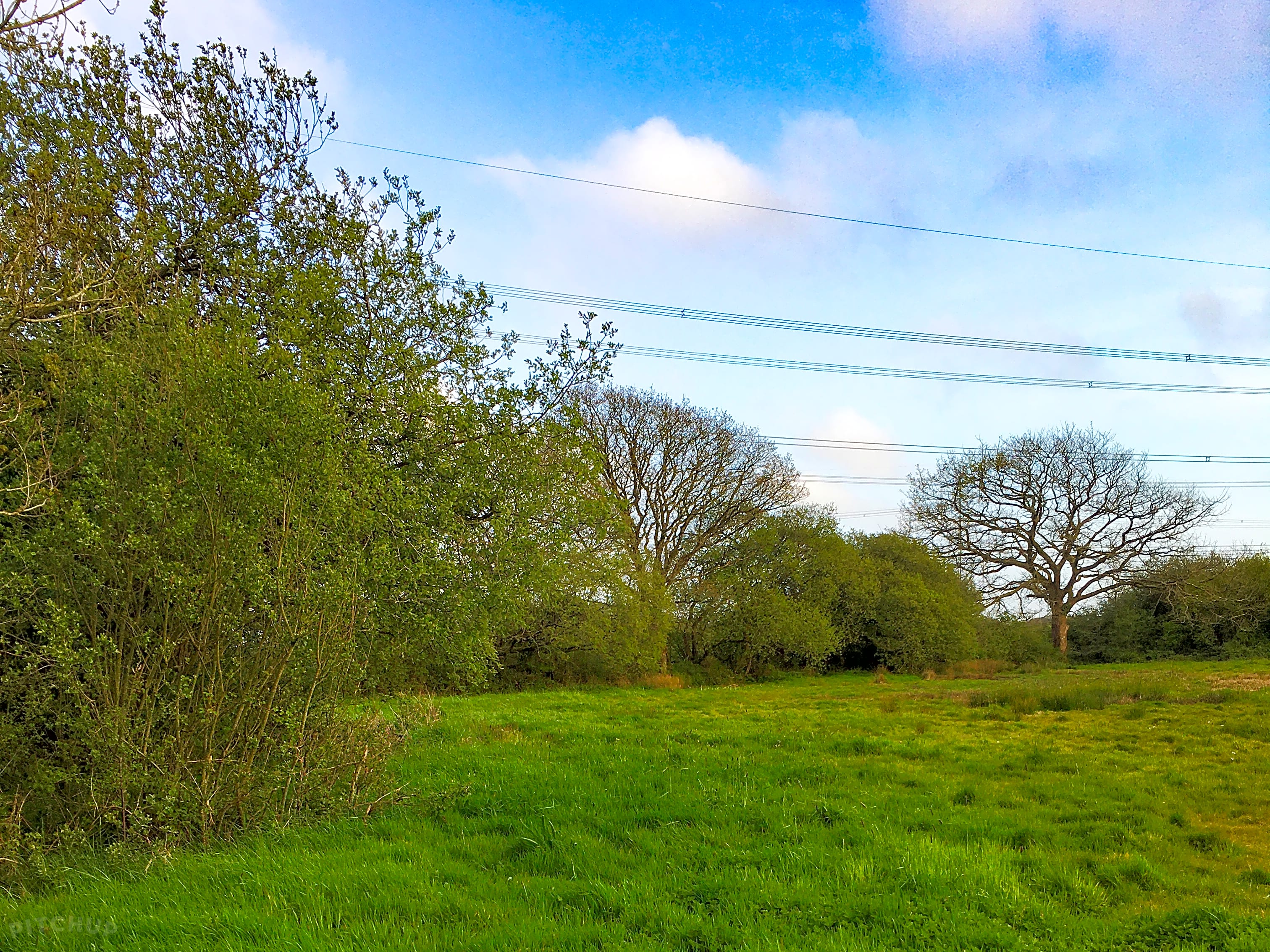 Jeffreyston Field, Kilgetty, Pembrokeshire