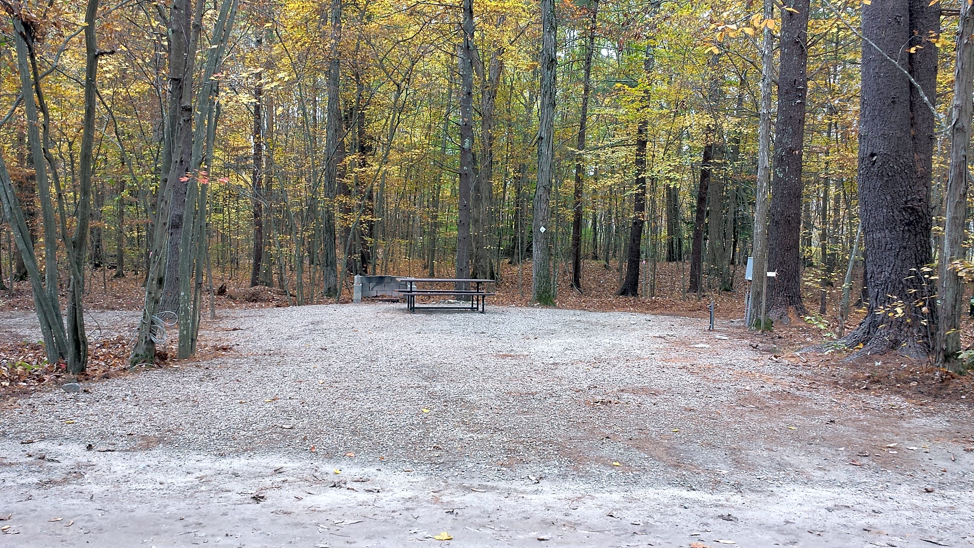 Escape to Exeter Elms: Your NH Campground Adventure Awaits!