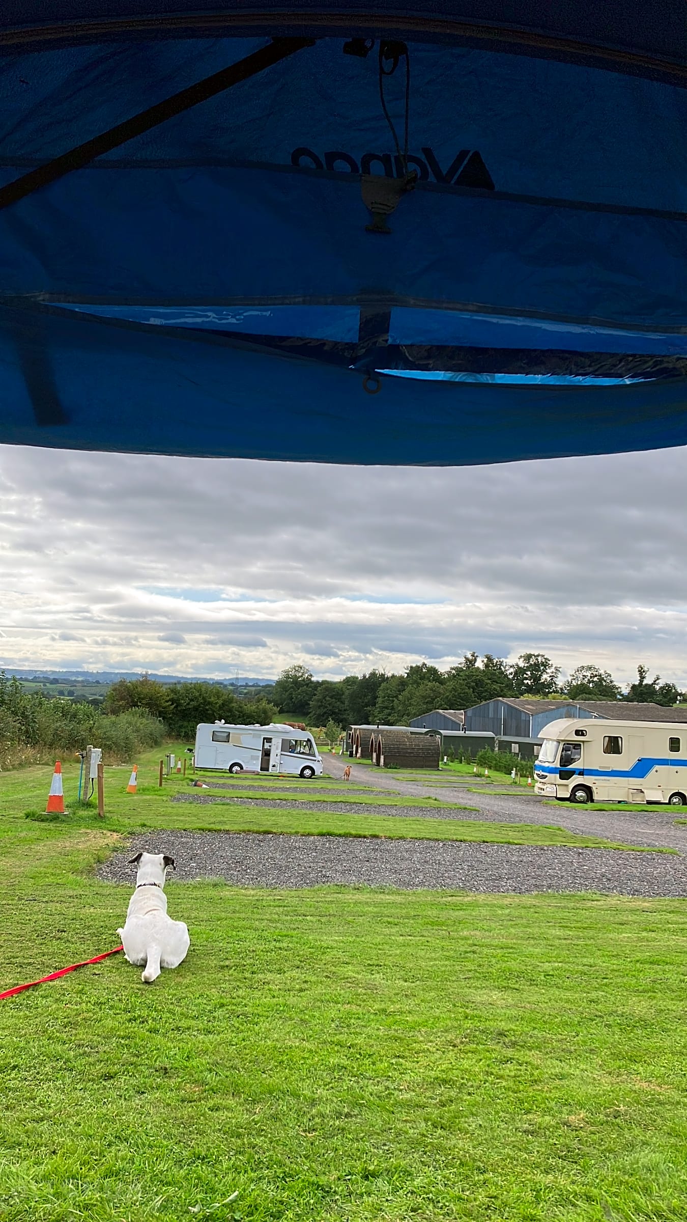 The Hog's Head, Abergavenny, Monmouthshire Updated 2025 prices