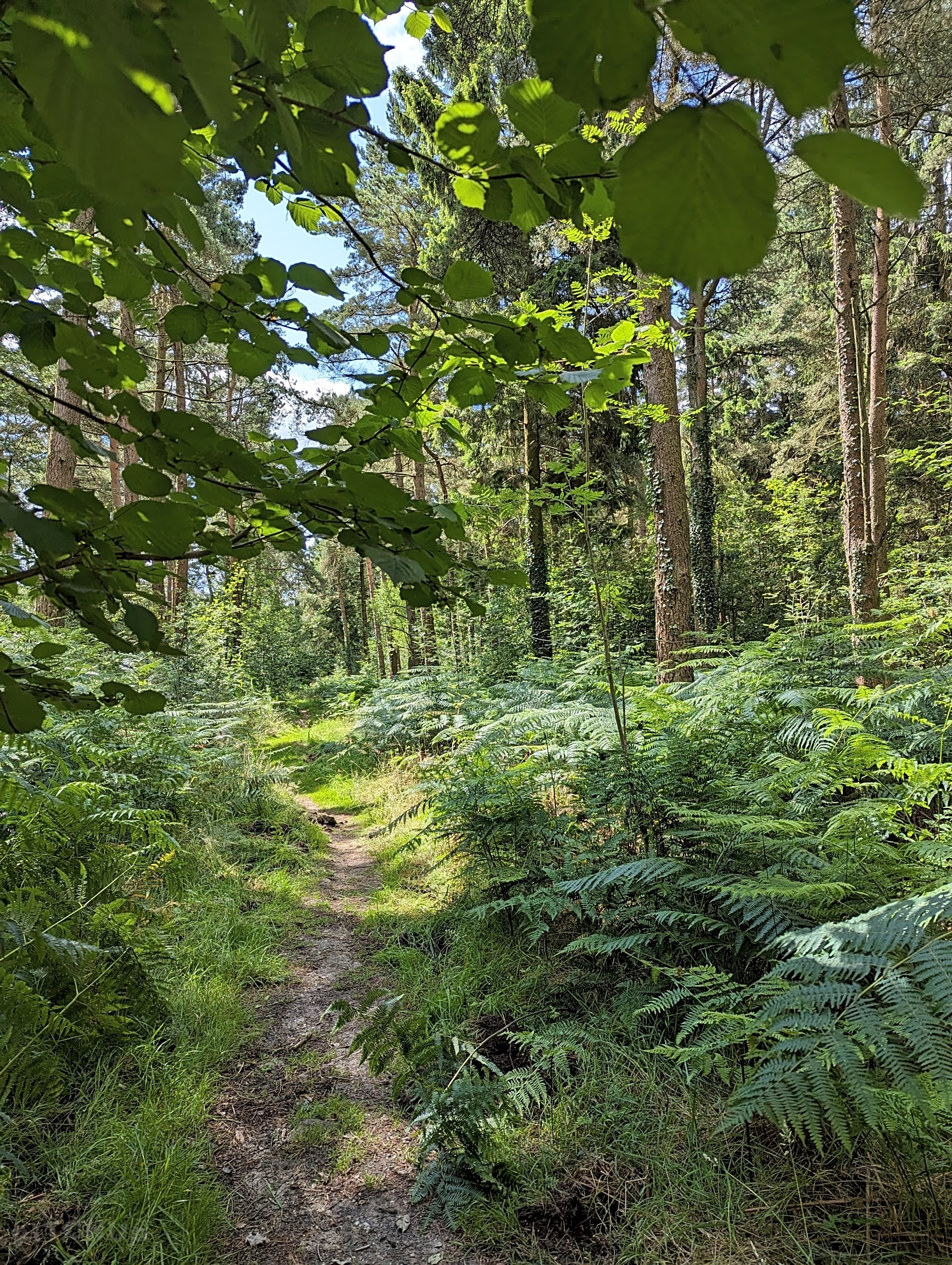 Greenway Farm Caravan and Camping Park, Drybrook, Gloucestershire