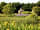 Bickerton Sandstone Trail Campsite