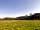 Runnis Meadow Camping: View of the site (photo added by manager on 29/07/2022)