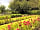 Old Pasture Park: Flower garden