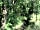 Milkmaid Meadow Campsite: Stream on the nature trail