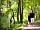 Gurnard Pines: Woodland nature walk