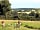 South Town Farm: Our view from our pitch