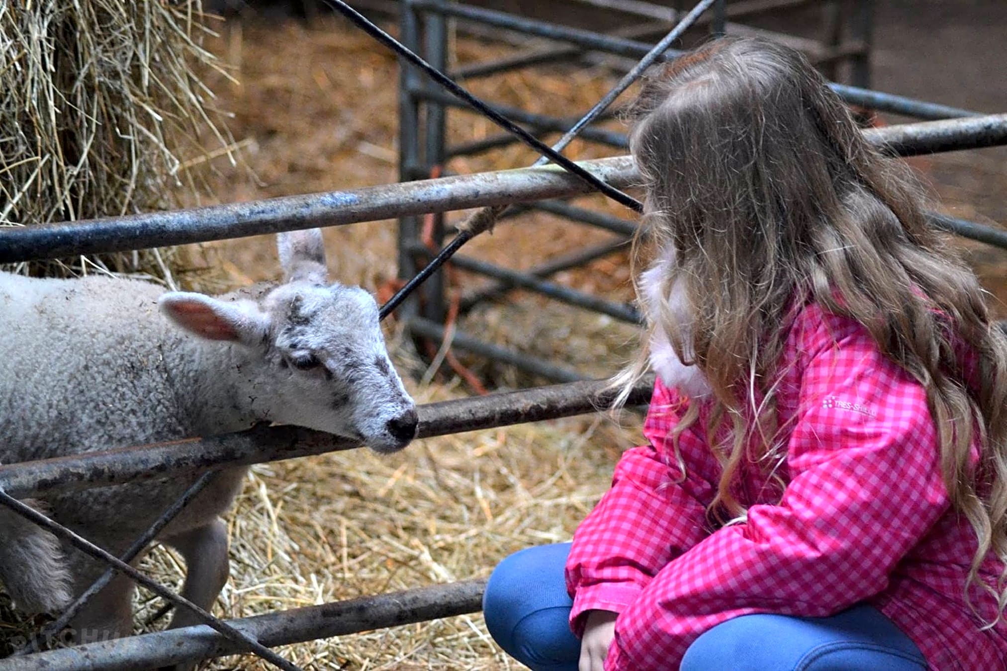 Stud Farm, Lewes Updated 2019 prices Pitchup®