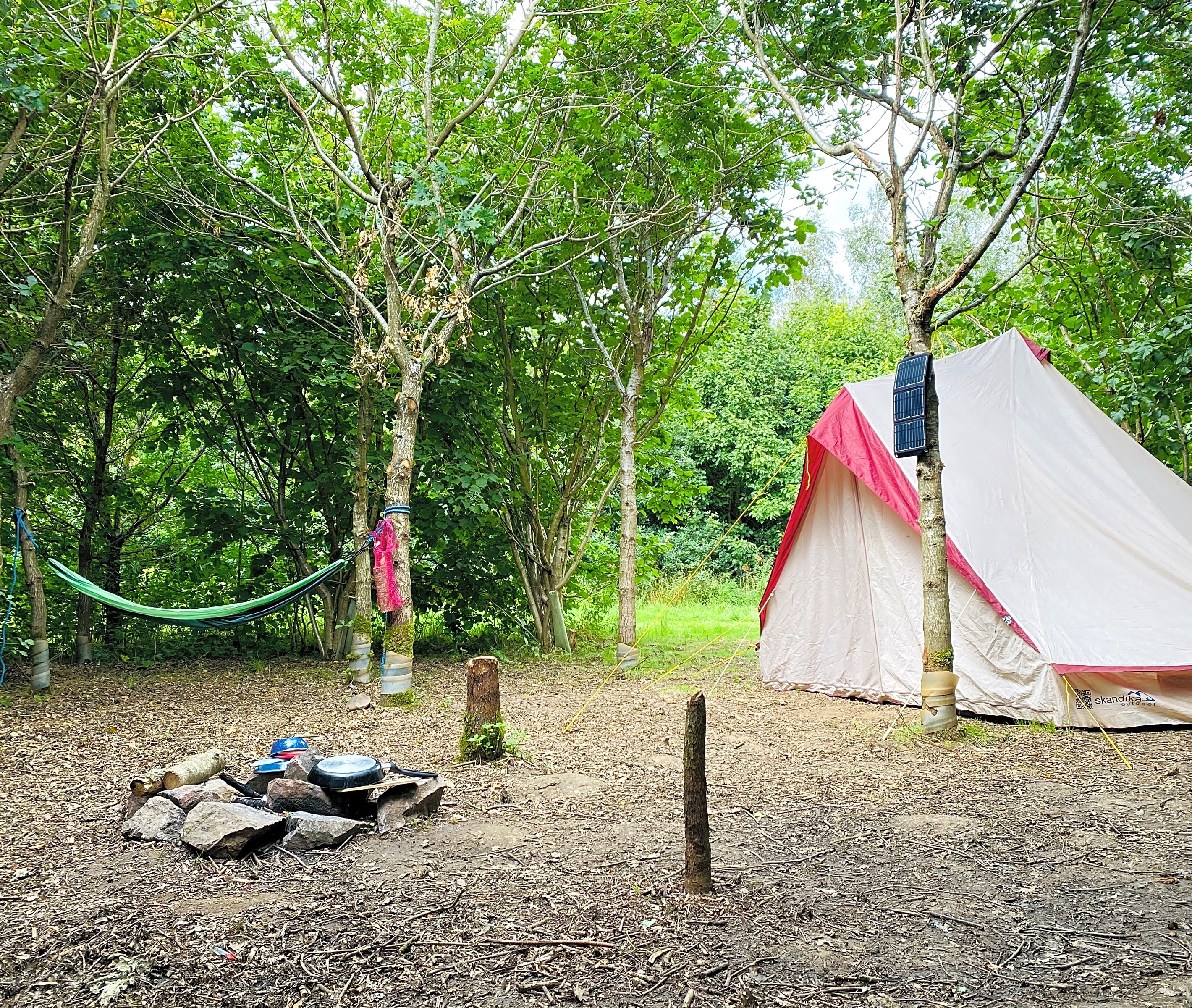Fire and Stars Woodland Camping, Newton Burgoland - Updated 2020 prices