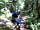 Church Stretton Camp and Fish (Oaklands)