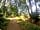 Clayford Field: Castleman Trailway through the forest (photo added by manager on 06/08/2018)
