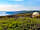 Thorning Farm Glamping and Camping: Great place (photo added by manager)