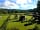 Haldon Forest Holiday Park: Top field