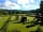 Haldon Forest Holiday Park: Top field (photo added by manager on 27/05/2017)