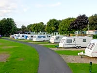 Park setting Park setting