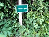 Blair Drummond Caravan Park: One of the many paths (photo added on 06/22/2023)