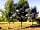 Chittlesford Mill Farm Camping: Non-electric grass tent pitch 