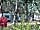 Village Baia Falcone: Touring pitches