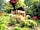Lower Coombe Royal Glamping: Cedar Lodge