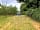 Bowhayes Farm Camping: Tent in the orchard.