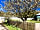 Park Rose Caravans: Very green site (photo added by manager on 05/06/2019)